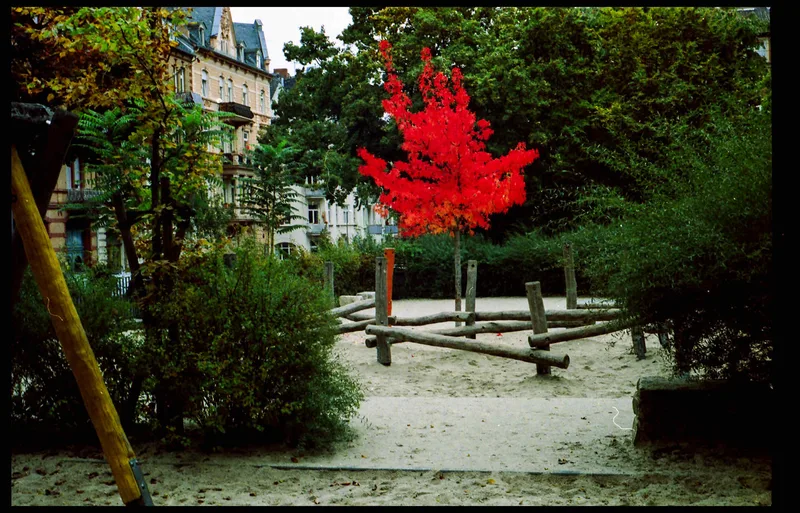 Film photo shot on Flic Film Aurora 800 with a Leica M7, developed at DM Fotoparadies, by Frank