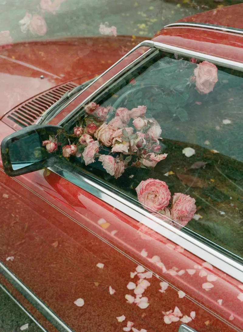Vintage Roses shot on Kodak Portra 400 with a Mamiya 645 Pro TL, by CAL