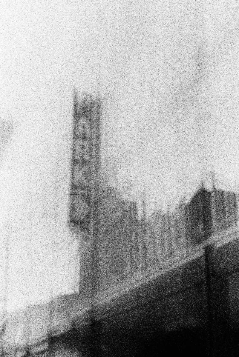 Park shot on Japan Camera Hunter StreetPan 400 with a Minolta XG-1, by Erin Kelsey