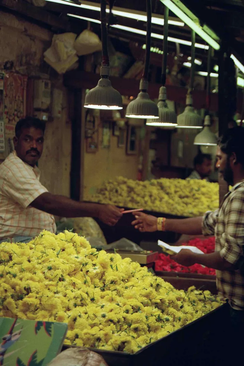 Film photo shot on Kodak Gold 200 with a Pentax P30T, by Ash