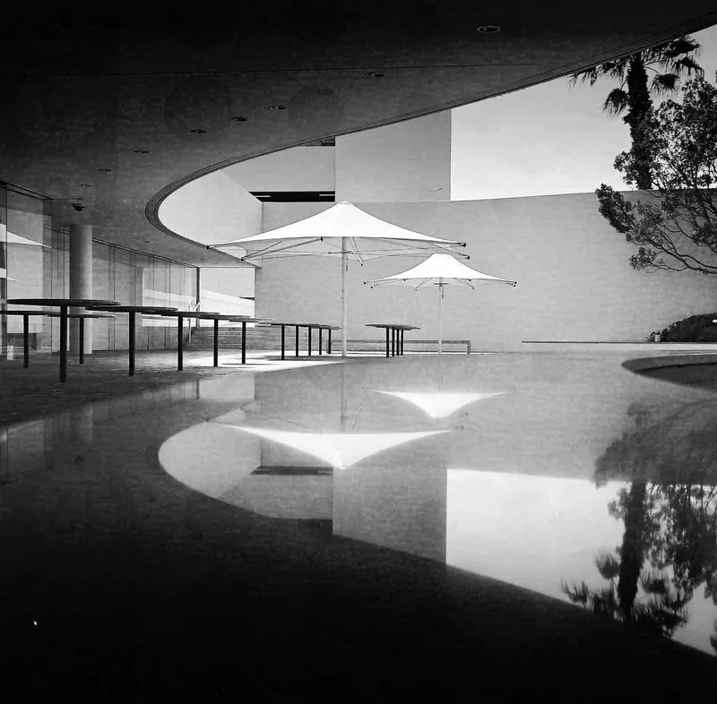 Reflection shot on Ilford XP2 Super 400 with a Zeiss Ikon Nettar 518/16, by Matt