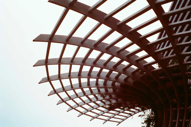 Webbing? shot on FilmNeverDie Sora 200 with a Minolta SR-T 101, developed at 612 Photofilm (Output Pro Lab), by Classic Chairls