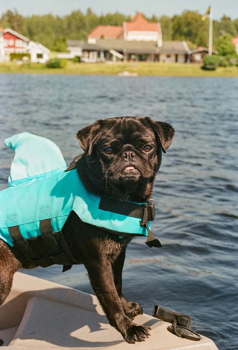 Afloat shot on Kodak Ektar 100 with a Canon EOS T2, by k2photography