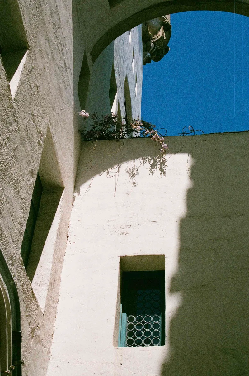 Film photo shot on Fujifilm Superia X-TRA 400 with a Nikon F2, developed at Dexter’s Camera, by Brickxbronson