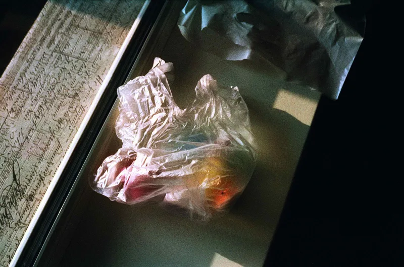 🥠shot on Harman Phoenix 200 with a Canon Canonet QL17, developed at Gornaya Lab, by Jora