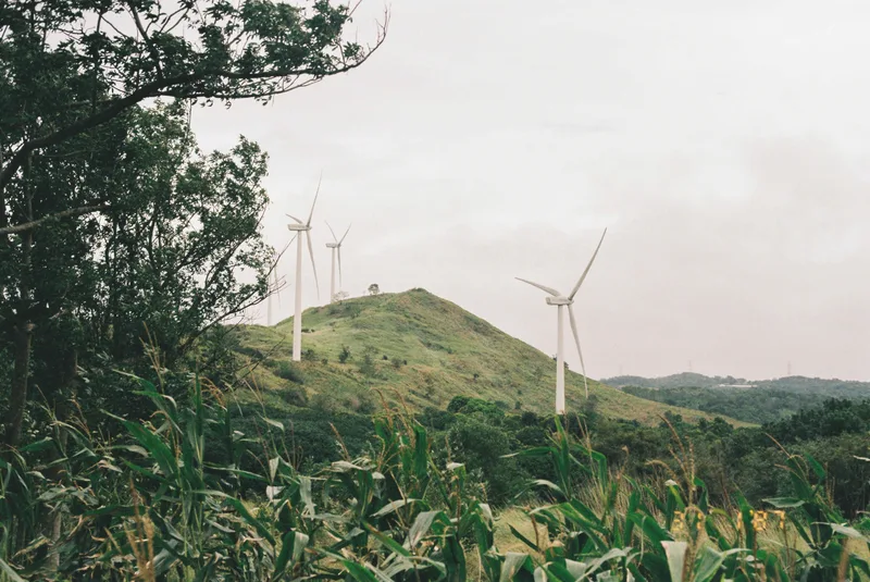 windmills shot on Kodak Gold 200 with a Canon EOS 100, developed at Wonder Photo Shop by Fujifilm, by lianne