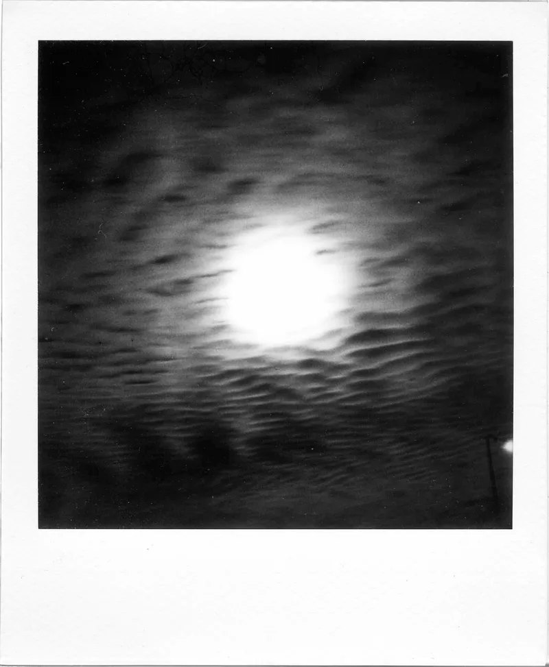Strange Happenings shot on Polaroid B&W i-Type with a Polaroid I-2, developed at Instant Film, by MelvynJ
