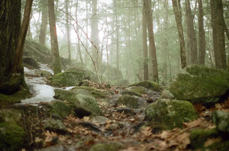 Film photo shot on Cinestill 50D with a Canon AE-1, developed at Hunt’s Photo & Video, by Zac Garbos