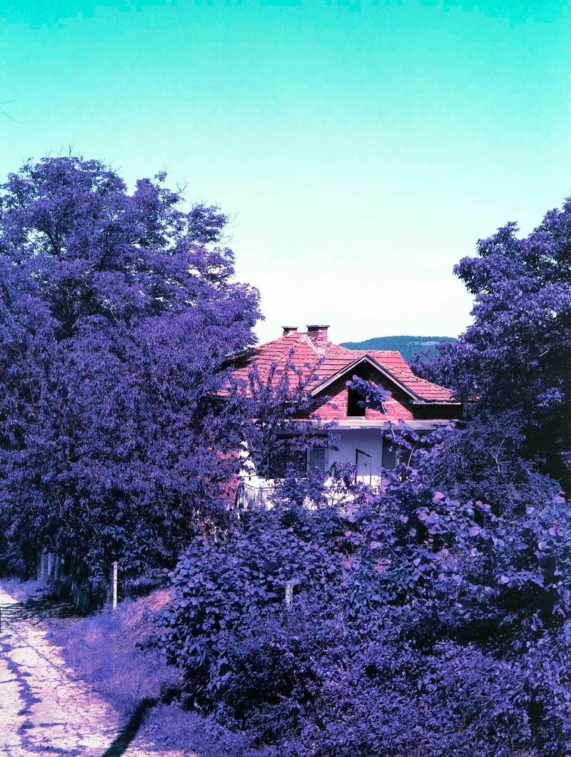 Film photo shot on Lomography LomoChrome Purple 100 with a Fujica G690 BLP, by И{