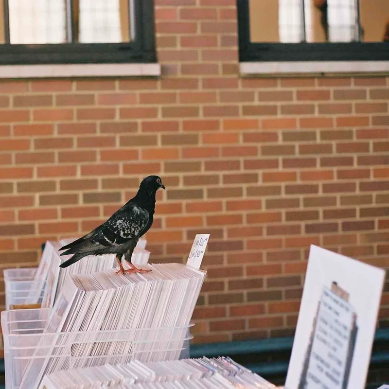 “Got it Got it Got it…” shot on Kodak Portra 400 with a Canon FT QL, developed at McGreevy ProLab & ProPress, by Payam