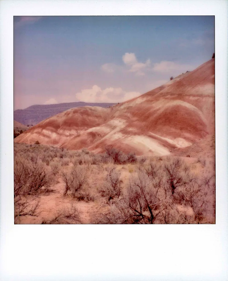Painted Hills shot on Polaroid 600 with a Polaroid SLR 680, by Jeremy Kruse