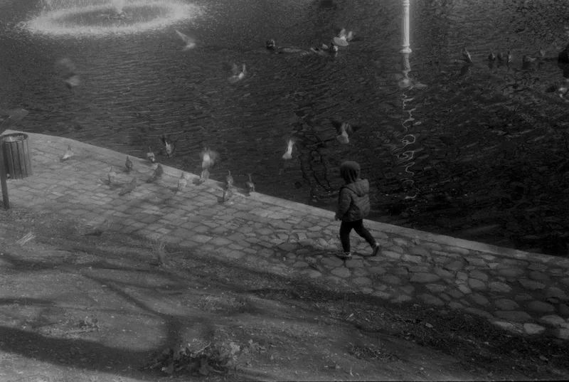 Poisoning Pigeons in the park shot on Ilford HP5 Plus 400 with a KMZ Zorki 1 C, by Zorki Enjoyer