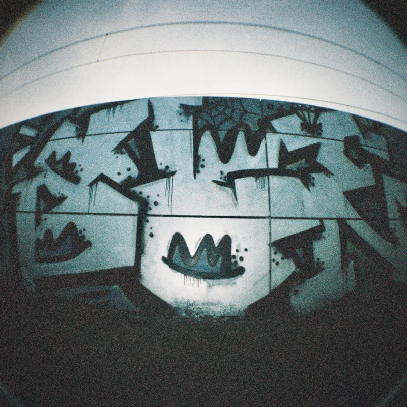 Film photo shot on Orwo Wolfen NC500 with a Lomography Fisheye, by oli-bon