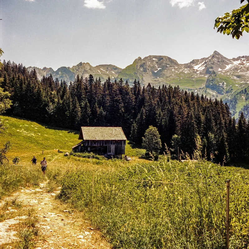 Les ARAVIS 3 shot on Cinestill 400D with a Rolleiflex T, developed at Home / Self-Developed, by MARCO PHOTOS