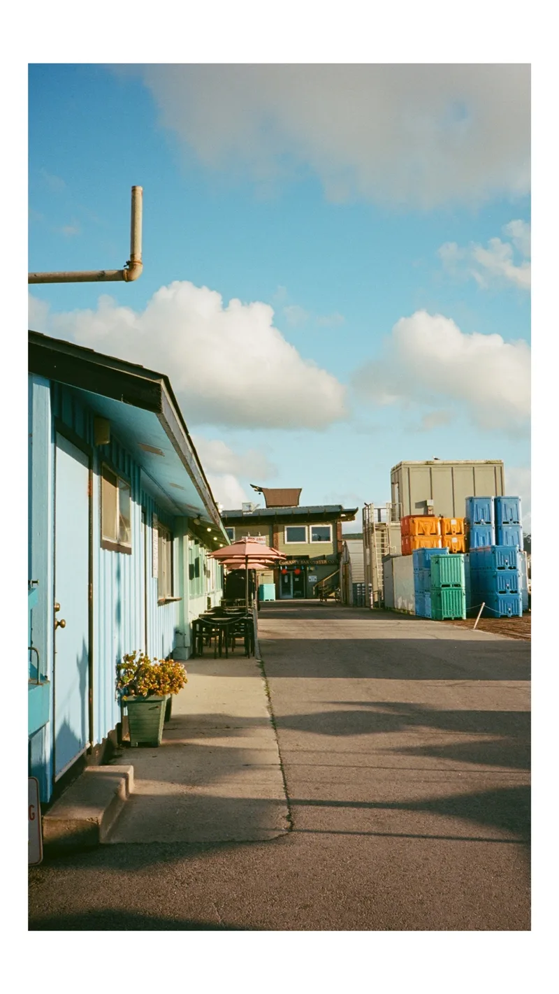 Film photo shot on Kodak Ektar 100 with a Pentax 17, developed at Horn Photo, by Charlie