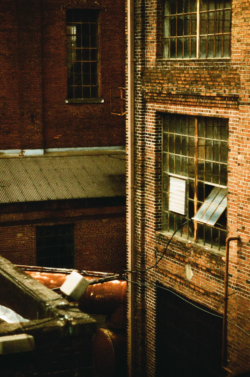 Film photo shot on Harman Phoenix 200 with a Canon AE-1 Program, developed at Electra Film Lab, by Will