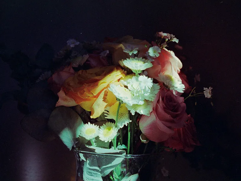 flores shot on Kodak UltraMax 400 with a Nikon F, developed at Laboratorio Espiral, by rafa vera