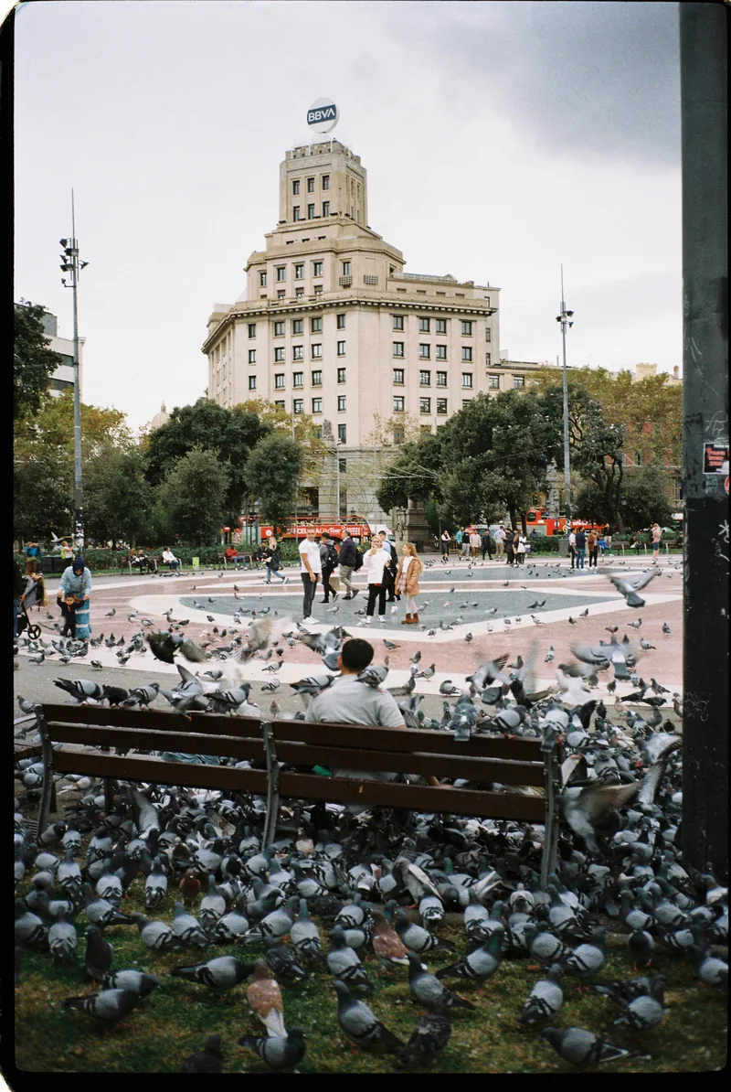 Surrounded shot on Kodak Gold 200 with a Contax T2, developed at Amigou Film Lab, by Marc