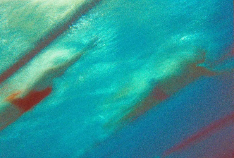 Blue shot on Cinestill 800T with a Nikonos V, by Sarah Throop