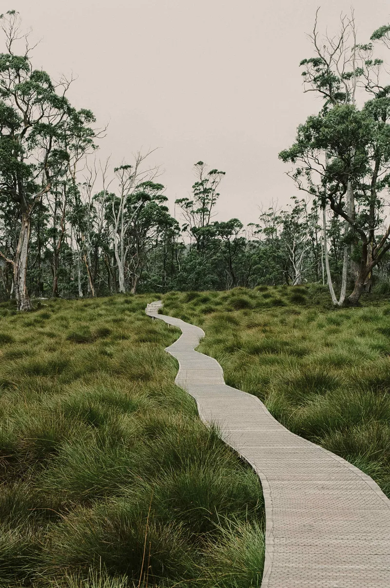 Cradle mountain shot on Kodak Portra 400 with a Nikon F100, developed at Fotofast, by Soph