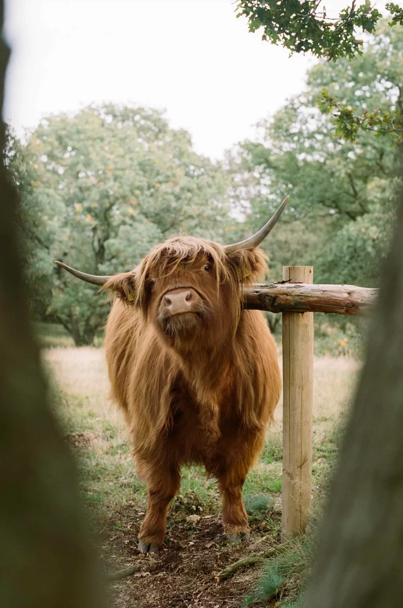 Hi there! shot on Kodak Portra 400 with a Canon A-1, developed at Key-Color Fotolab, by Danny Wage