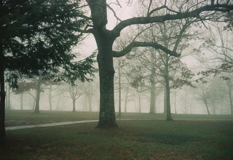 Film photo shot on Kodak Portra 400 with a Yashica Electro35GL, developed at Boutique Film Lab, by Gaby Salinas