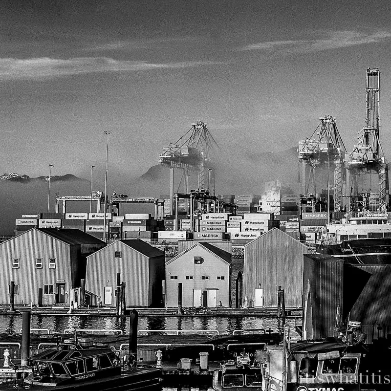 Fog rolling through the harbour shot on Ilford Delta 100 with a Hasselblad 500C, developed at Rocket Reprographics, by Karen