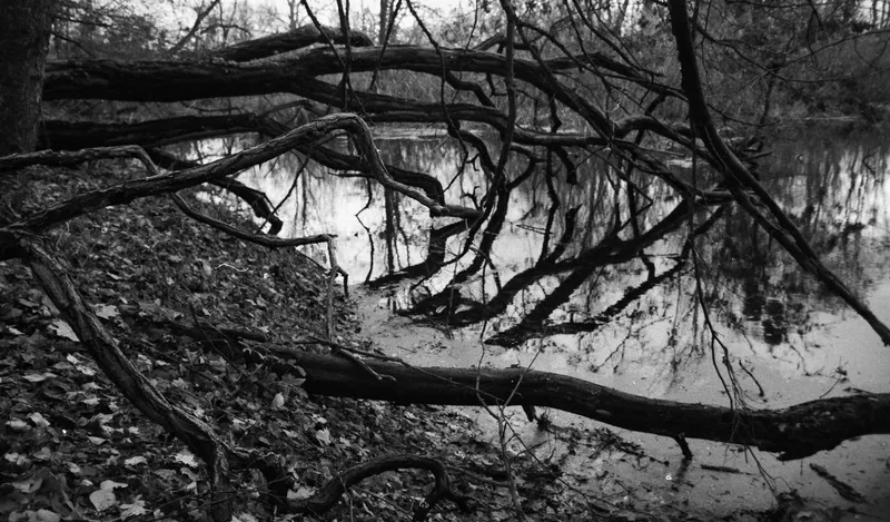 Film photo shot on Foma Fomapan 200 Creative with a Fuji STX-2, developed at Home / Self-Developed, by rafaln70