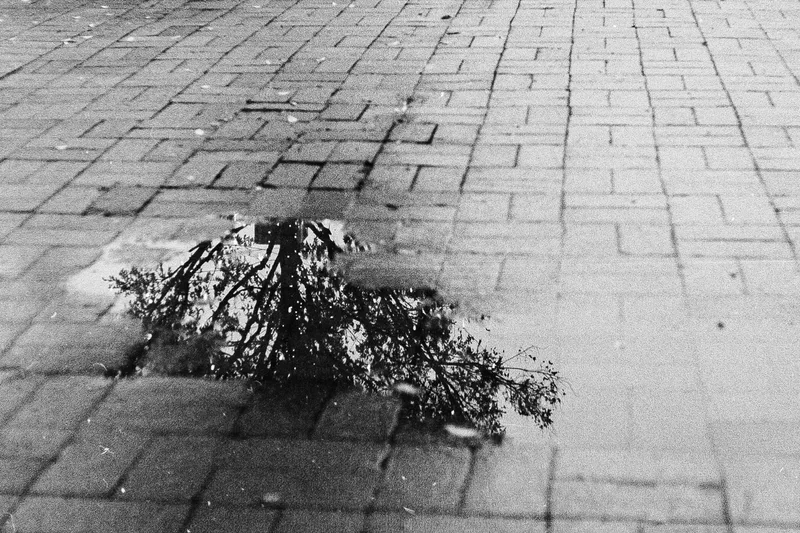 Reflecting shot on Film Photography Project Frankenstein 200 with a Yashica Lynx5000, developed at Home / Self-Developed, by Ryan Jensen
