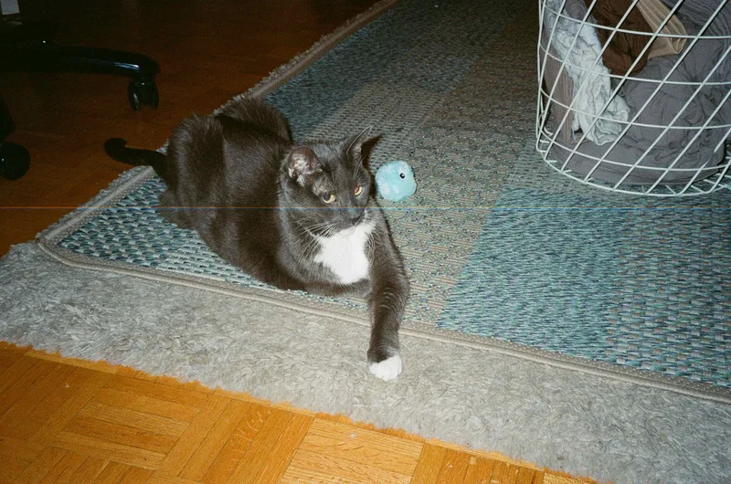 Aimee shot on Lomography CN 400 with a Yashica T4 Super, developed at 60 Minute Photo Lab, by Kavi