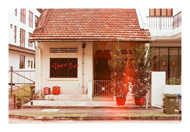 Extra Auspicious shot on Reflx Lab Pro 100 with a Minolta XD, developed at Circa Lab, by Verlichtend