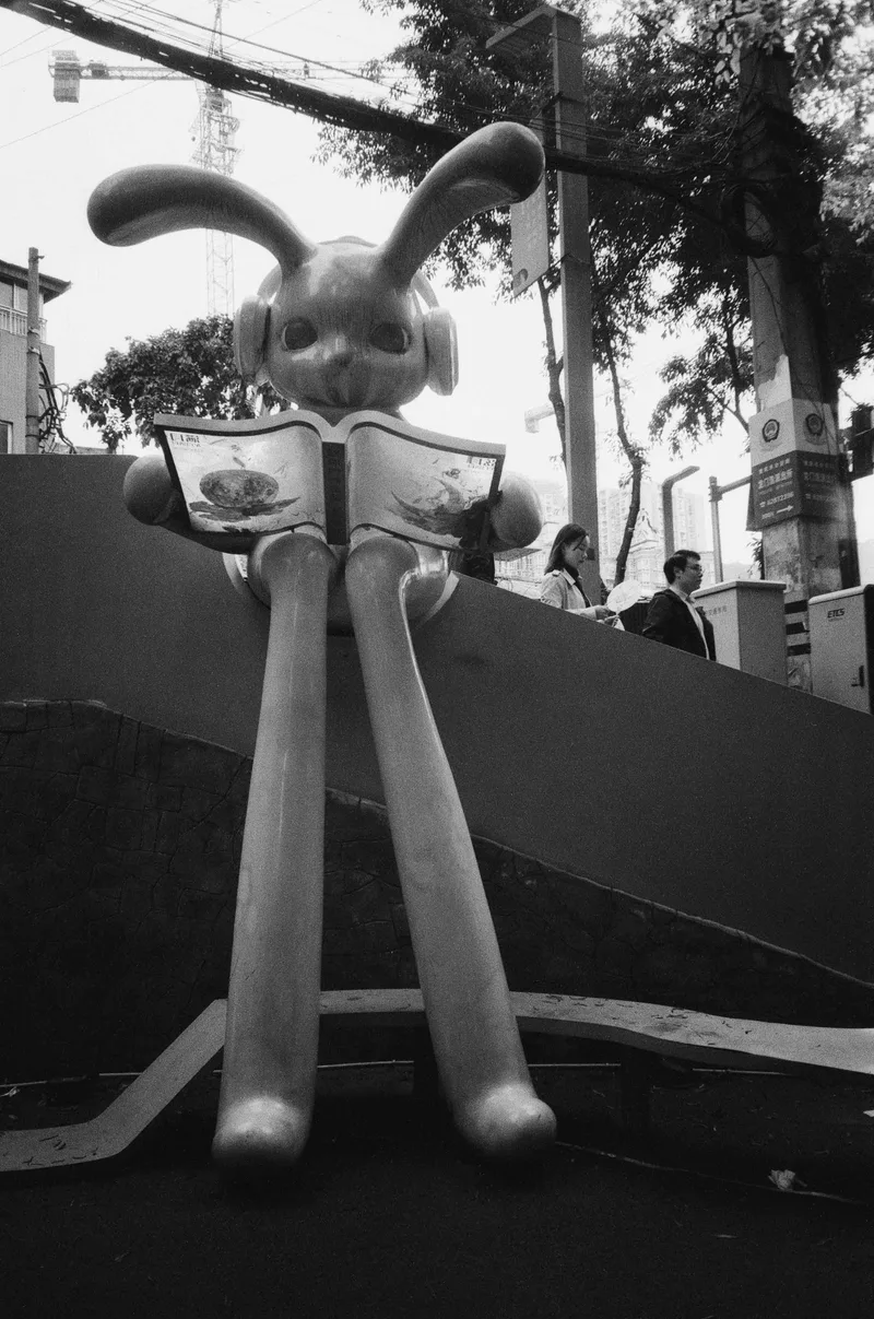 🐰 shot on 乐凯 SHD Lucky 400 with a Konica GenbaKantoku28WB, developed at Bobo Film Lab Chongqing, by BadMonkey