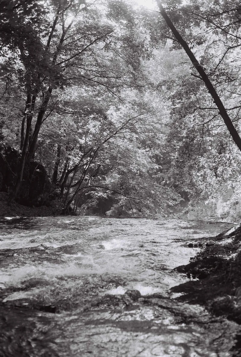 burden falls shot on Ilford HP5 Plus 400 with a Minolta SR-T 201, developed at McGreevy ProLab & ProPress, by austin feno