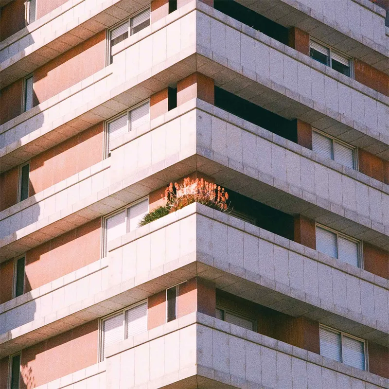 Plantropolis shot on Kodak Gold 200 with a Canon EF, developed at Khrome, by Hendrik