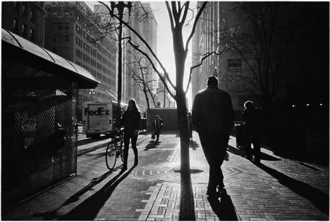 Shadowy Places You See Light shot on Arista EDU Ultra 400 with a Olympus XA4, developed at Home / Self-Developed, by Alapan