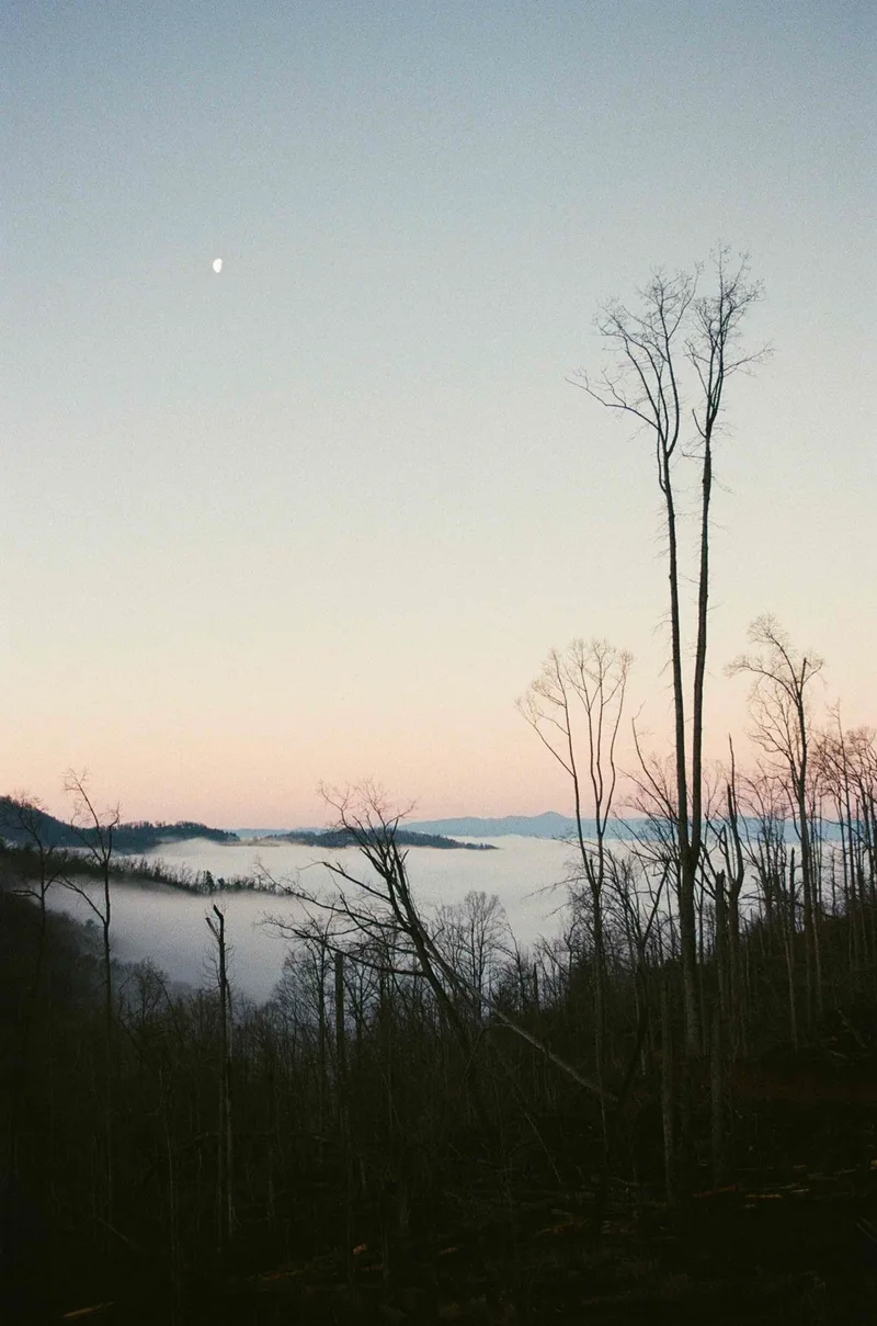 Morning shot on Kodak UltraMax 400 with a Canon AE-1 Program, developed at Ball Photo, by Tye