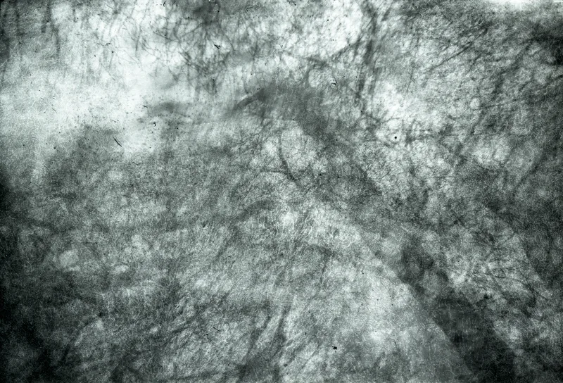 Incoherency shot on Selochrome with a Kodak Brownie No. 2, developed at SilverPan, by Matt