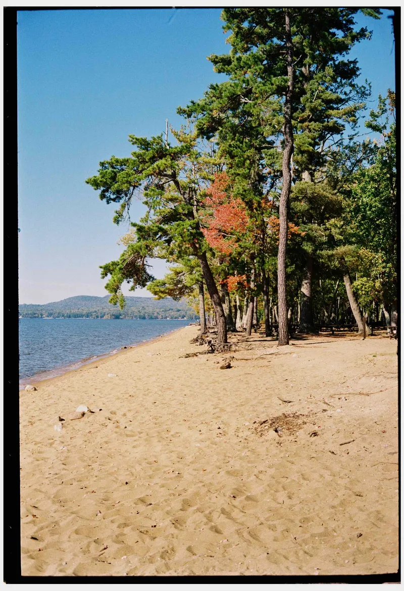 sebago lake state park, maine shot on Kodak Kodacolor 200 with a Leica M3, developed at Northeast Photographic, by Eric Wefald - Huang