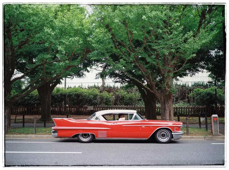 Caddy in the park shot on Kodak Gold 200 with a Fuji GA645, developed at Osawa Camera, by Nivola