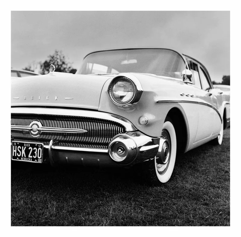 Beauty shot on Ilford Kentmere Pan 400 with a Mamiya C330 Professional, developed at Analogue Wonderland, by MJW