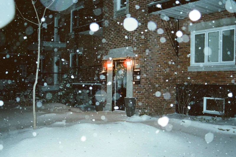 Snowfall shot on Reflx Lab 800 with a Nikon F65, developed at Studio Argentique, by Vince