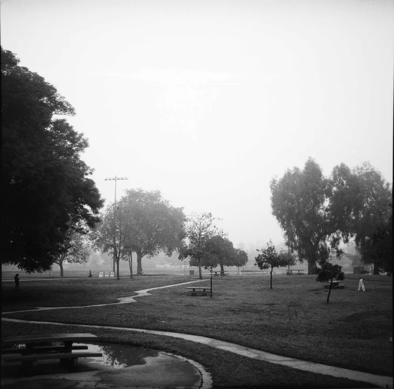 Film photo shot on Kodak T-Max 100 with a Mamiya 6 Automat, developed at The DarkRoom, by Joe