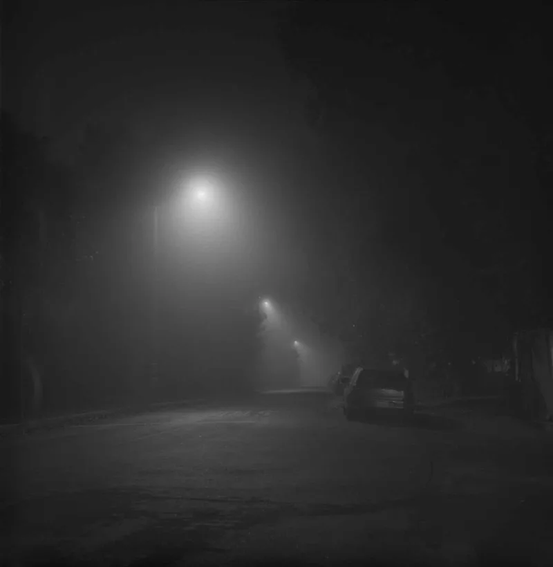 Film photo shot on Ilford Delta 3200 with a Rolleicord V, developed at Home / Self-Developed, by Joe