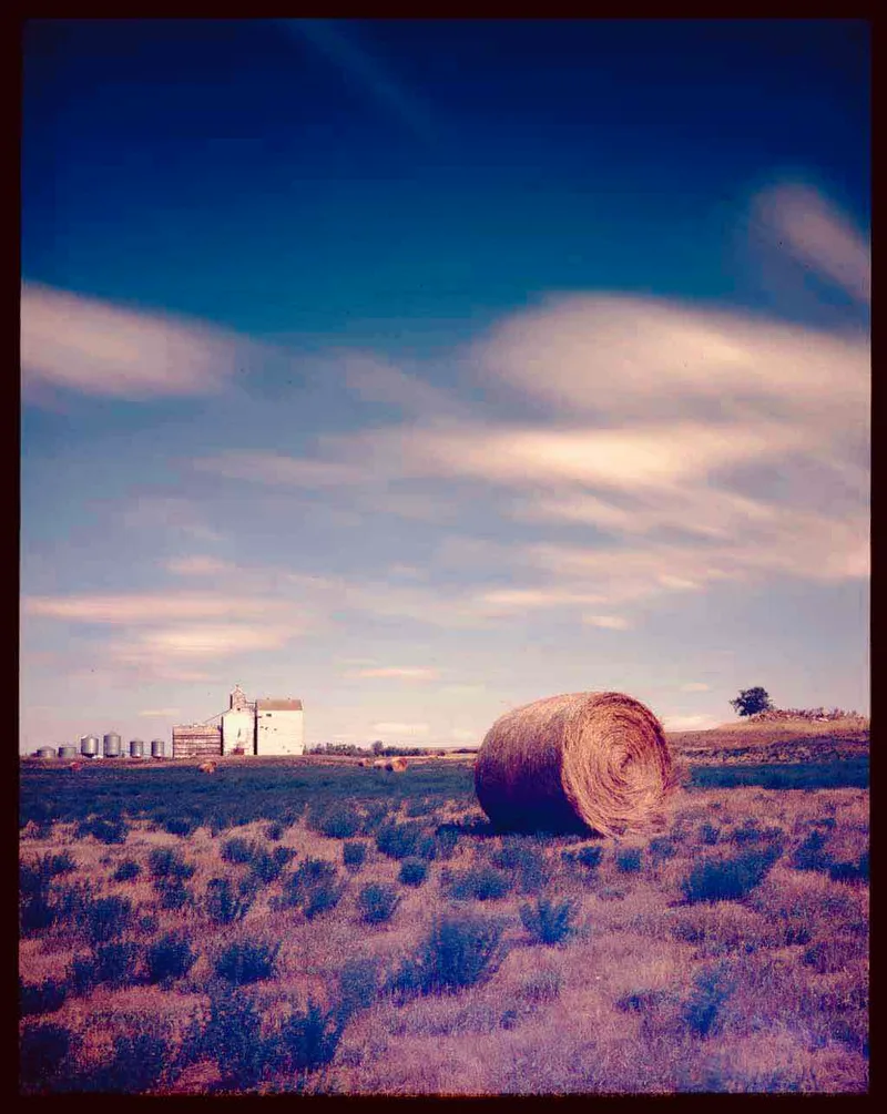 McCord, Saskatchewan shot on Fujifilm Provia 100F with a Toyo 45 A II, developed at The DarkRoom, by PhotoBob