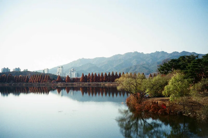 Seoul Land shot on Kodak UltraMax 400 with a Rollei 35S, developed at Filmlog, by Noah R. Evans