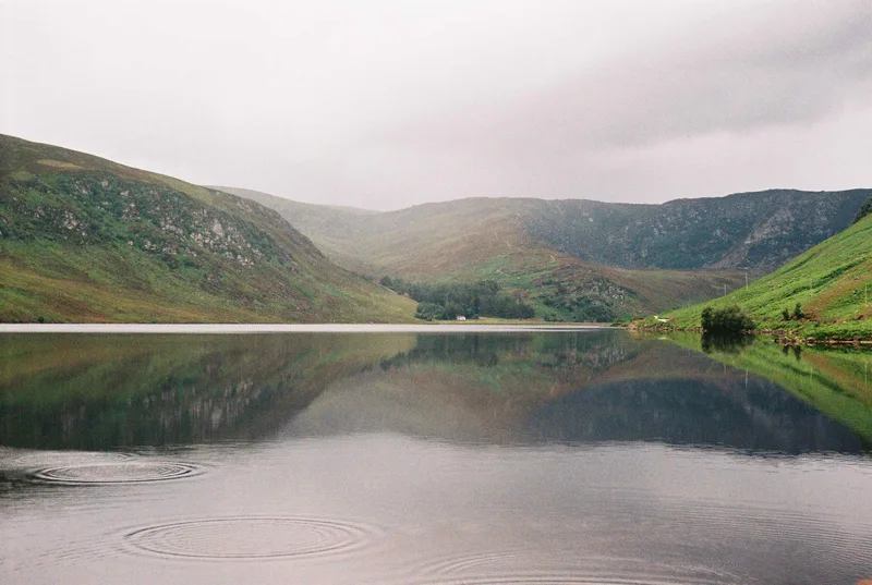 Film photo shot on Kodak Gold 200, developed at Snappy Snaps, by Haley