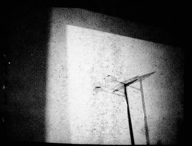 Verticality shot on Film Washi Film Washi W with a Mamiya 645 Pro TL, developed at Home / Self-Developed