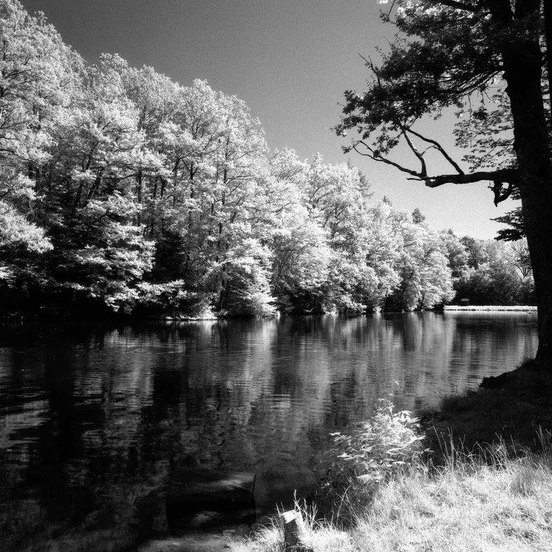 Steinbachsee shot on Ilford SFX 200 with a Hasselblad 503CW, developed at Prolab Fotofachlabor GmbH, by Michael