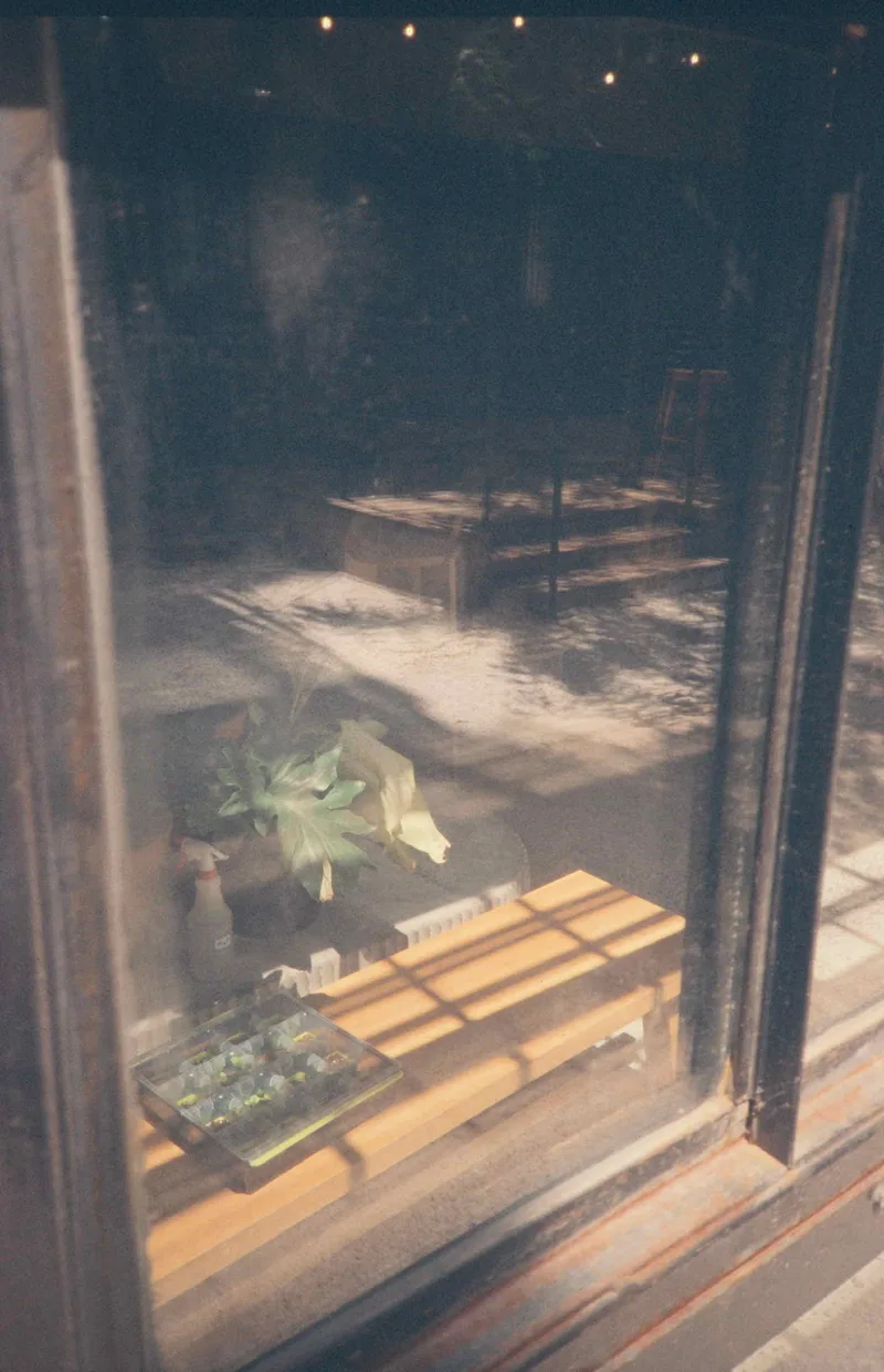 Greenhouse shot on Fujifilm Sensia 400 with a Pentax Espio Mini, developed at Accurate Photo, by J Isles