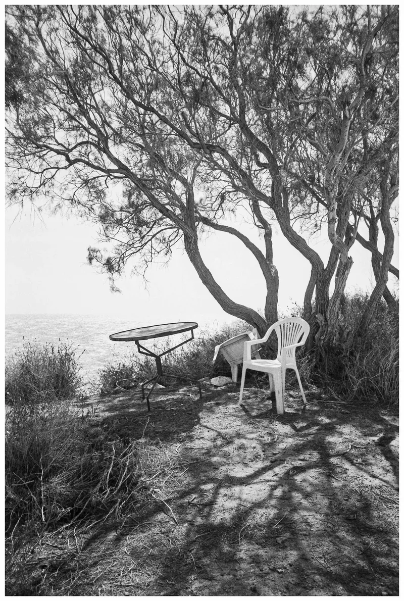 Film photo shot on Fujifilm Neopan Acros 100 with a Olympus XA, developed at Home / Self-Developed, by wholegrain